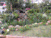flower show2004 056.jpg